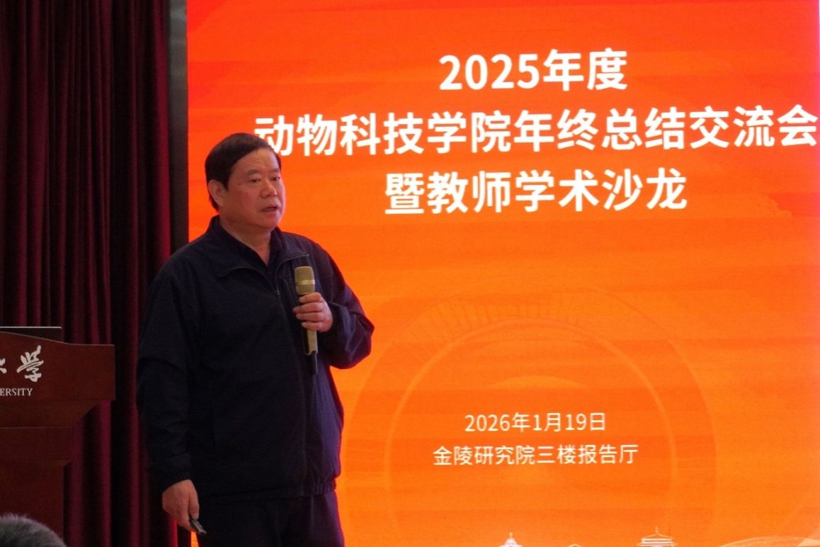 2026世界杯官网