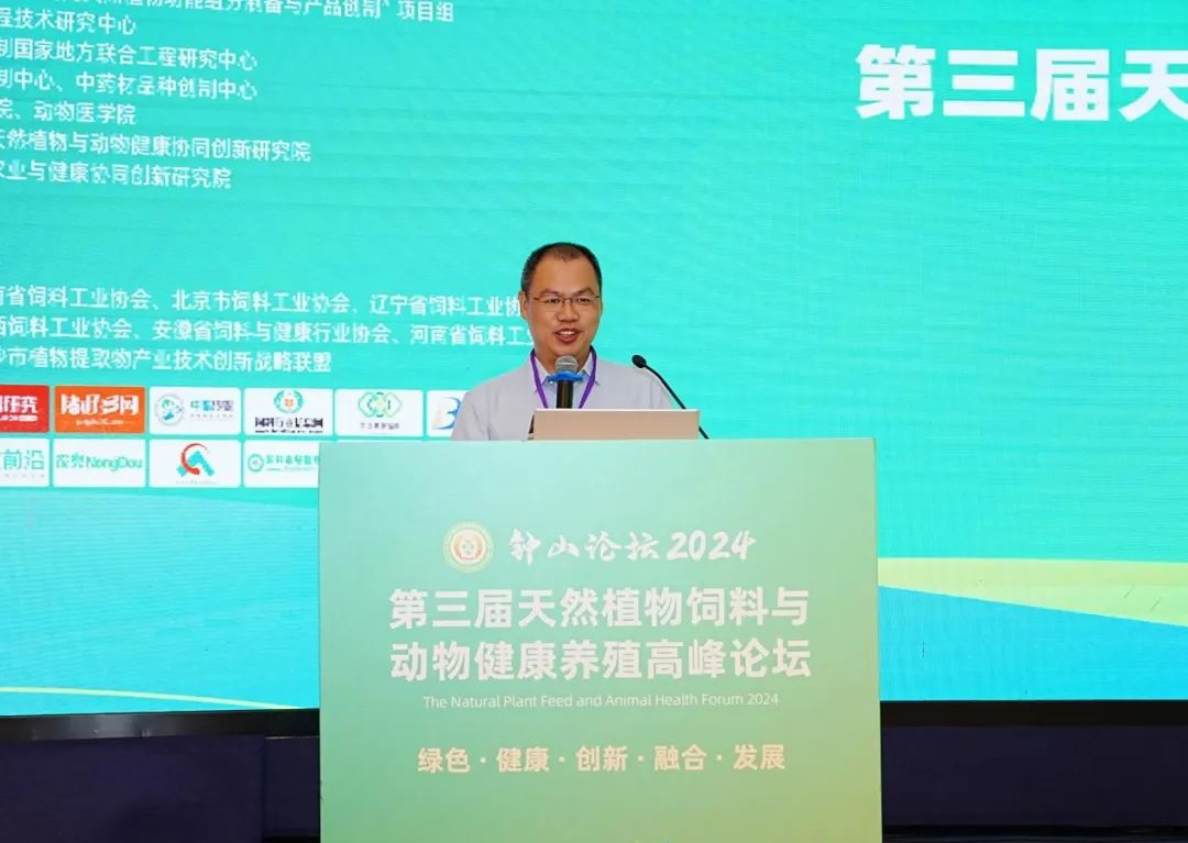 2026世界杯官网