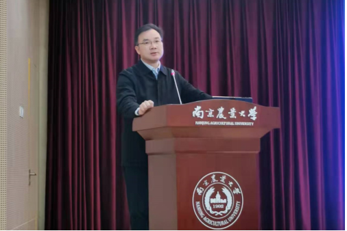 2026世界杯官网