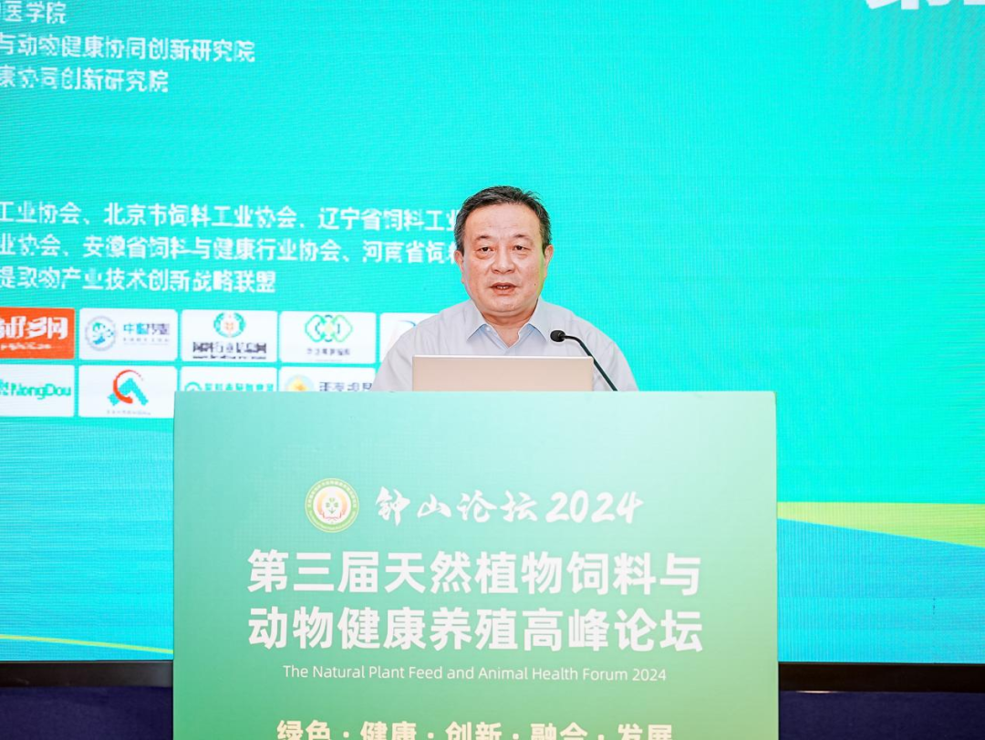 2026世界杯官网