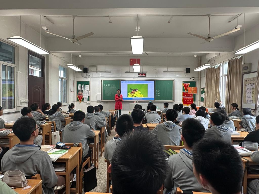 2026世界杯官网