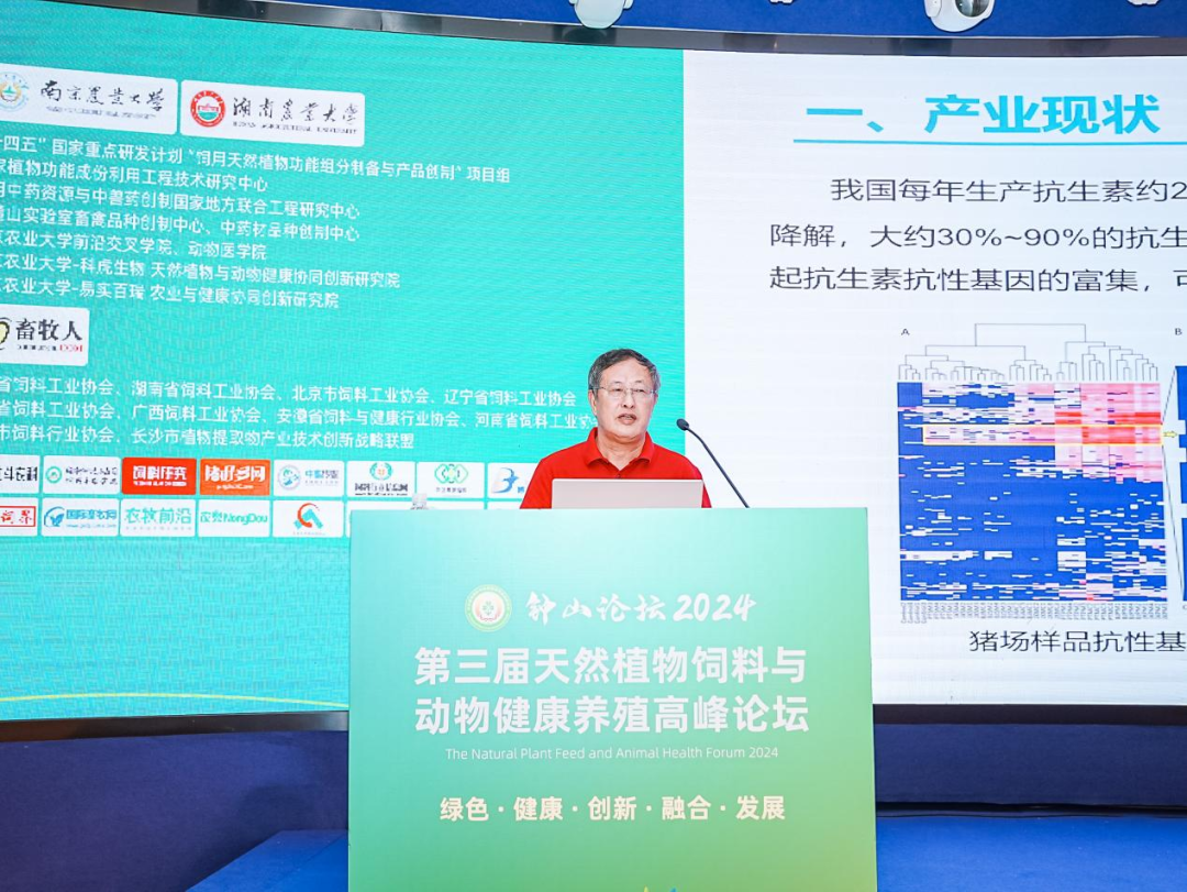 2026世界杯官网