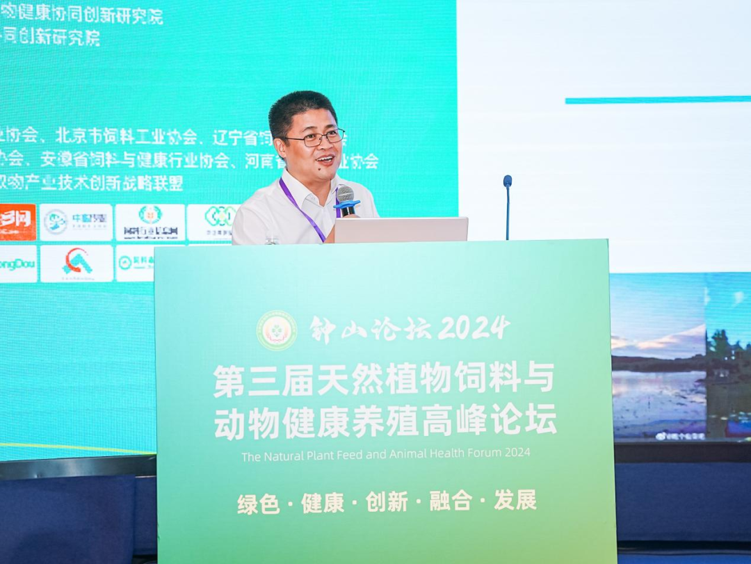 2026世界杯官网