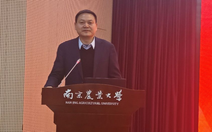 2026世界杯官网