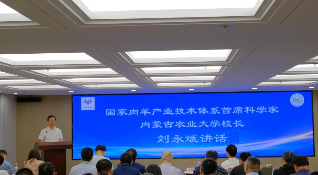 2026世界杯官网