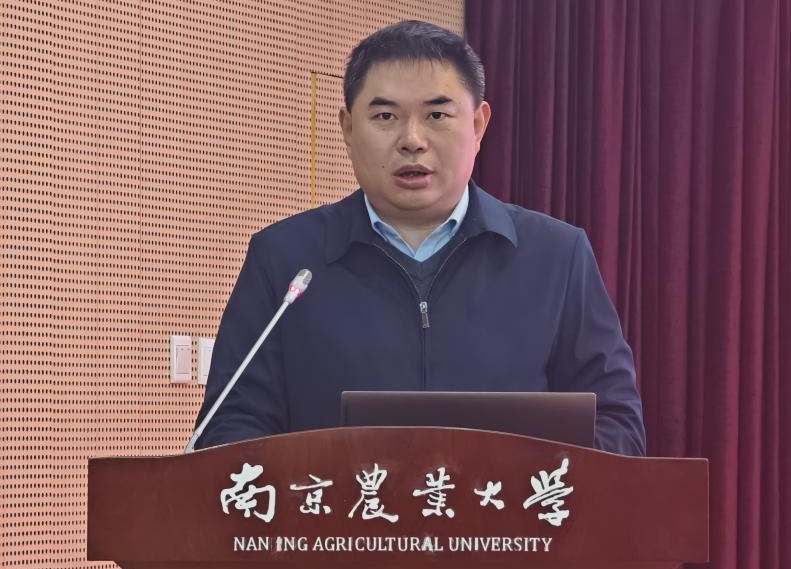 2026世界杯官网