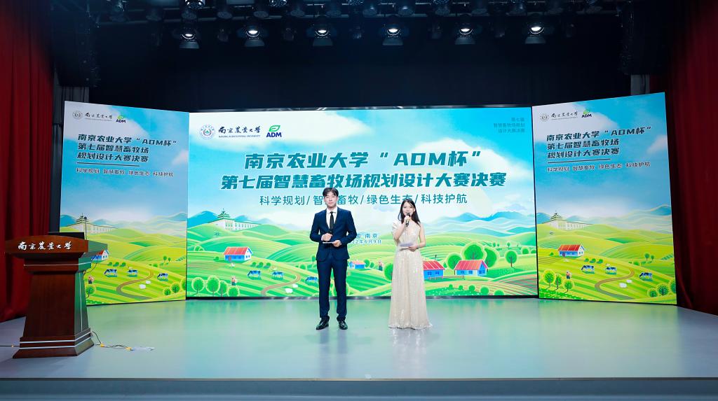 2026世界杯官网