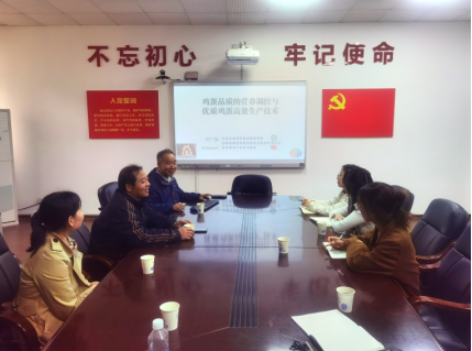 2026世界杯官网