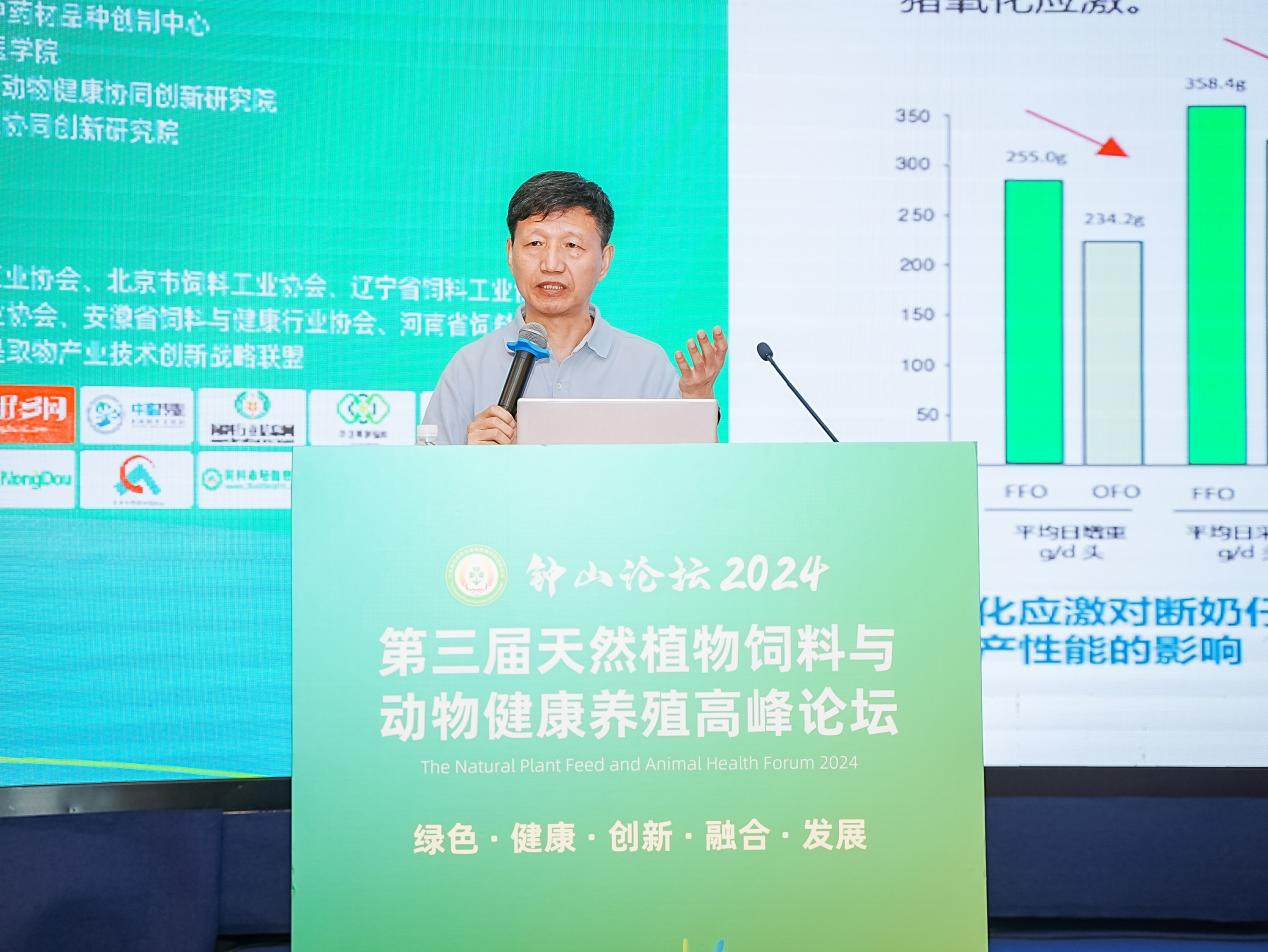 2026世界杯官网