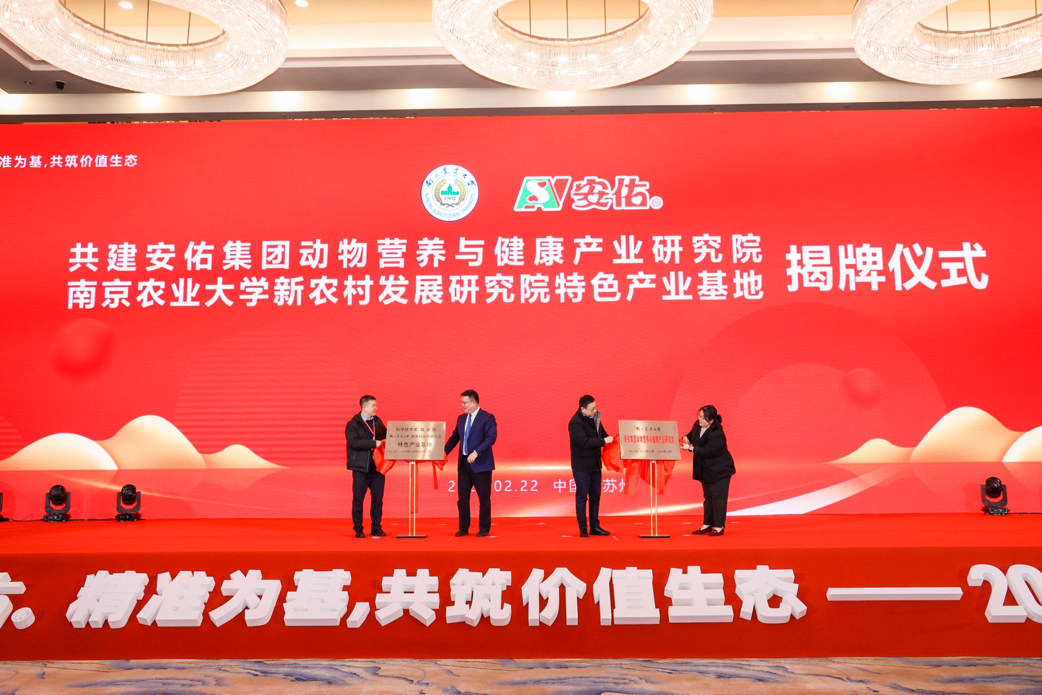 2026世界杯官网