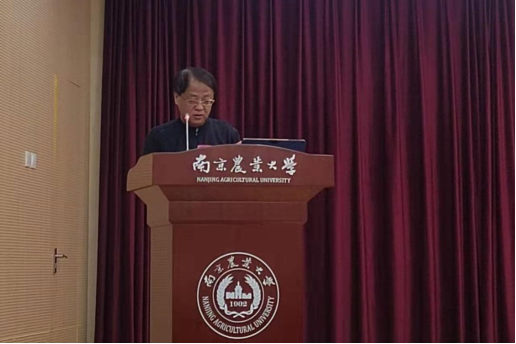 2026世界杯官网