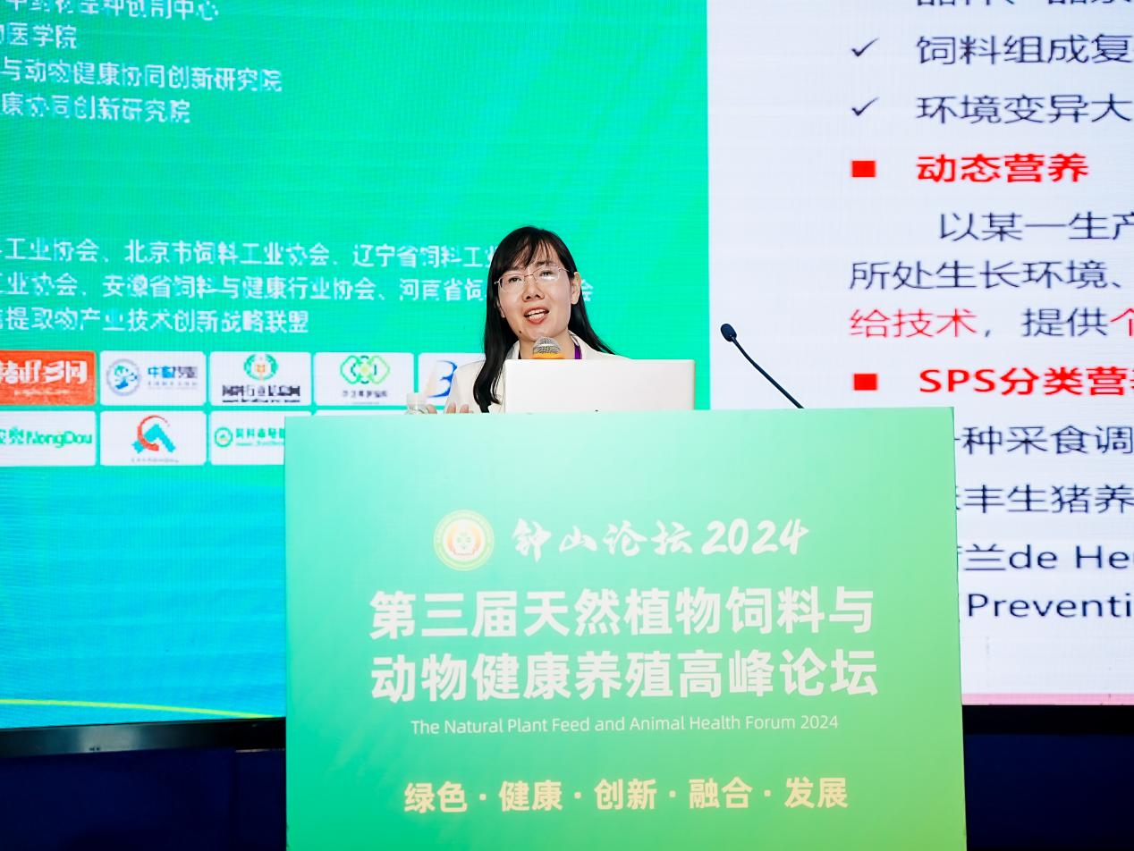 2026世界杯官网