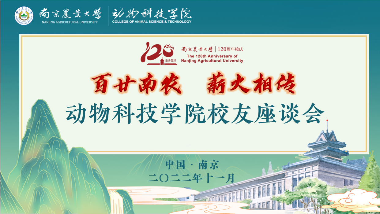 2026世界杯官网