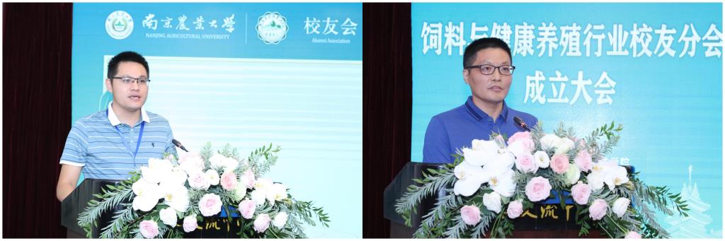 2026世界杯官网