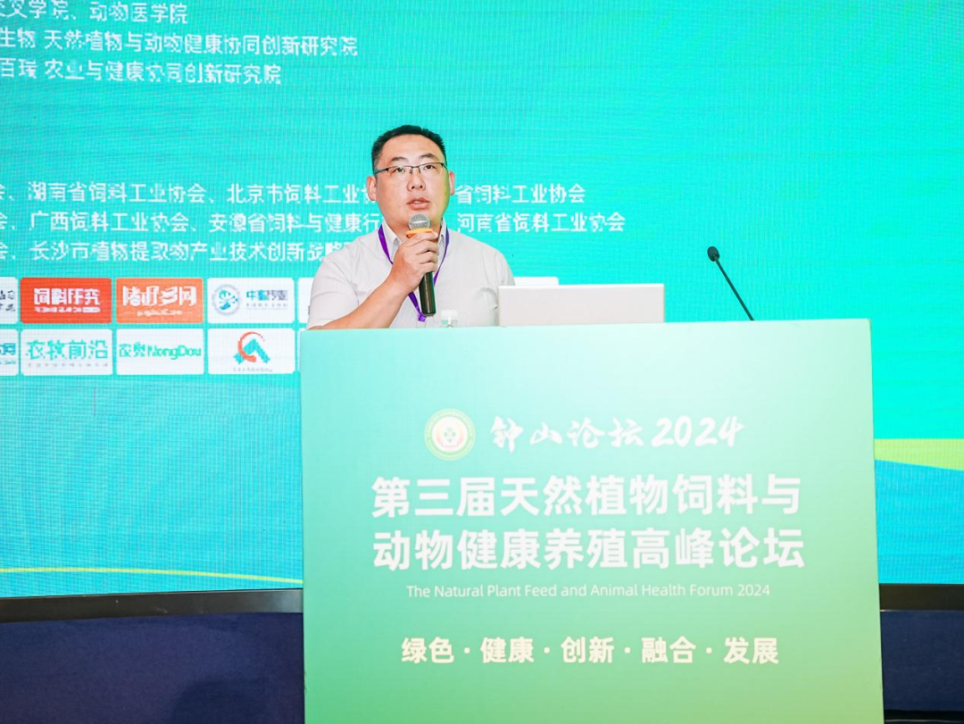 2026世界杯官网