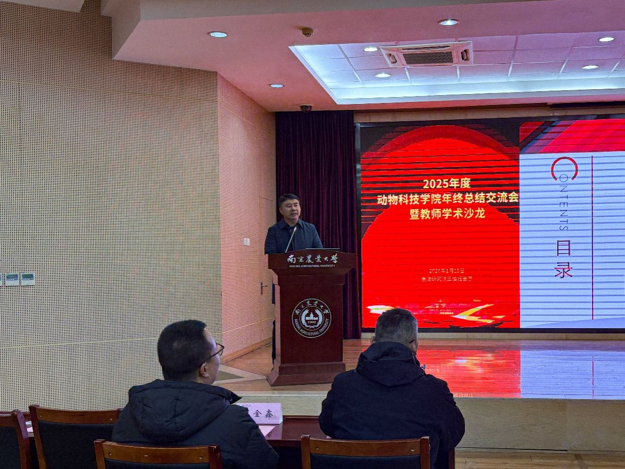 2026世界杯官网