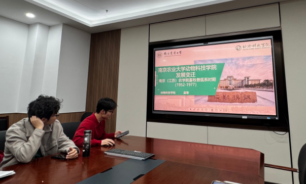 2026世界杯官网