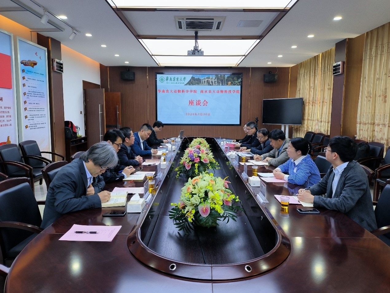 2026世界杯官网