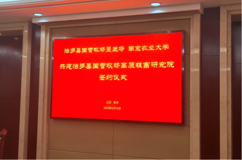 2026世界杯官网
