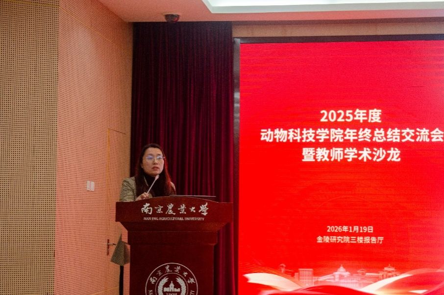 2026世界杯官网