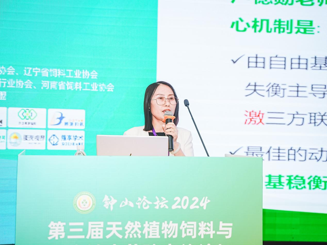 2026世界杯官网