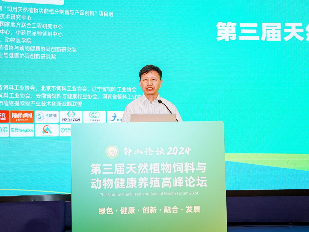 2026世界杯官网