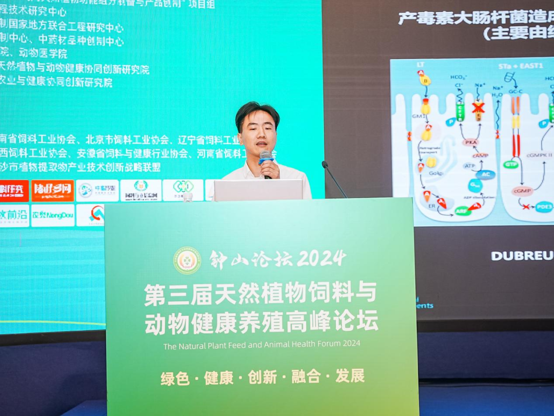 2026世界杯官网