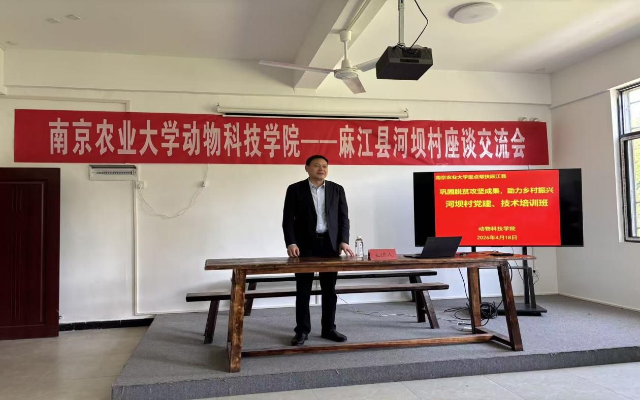 2026世界杯官网