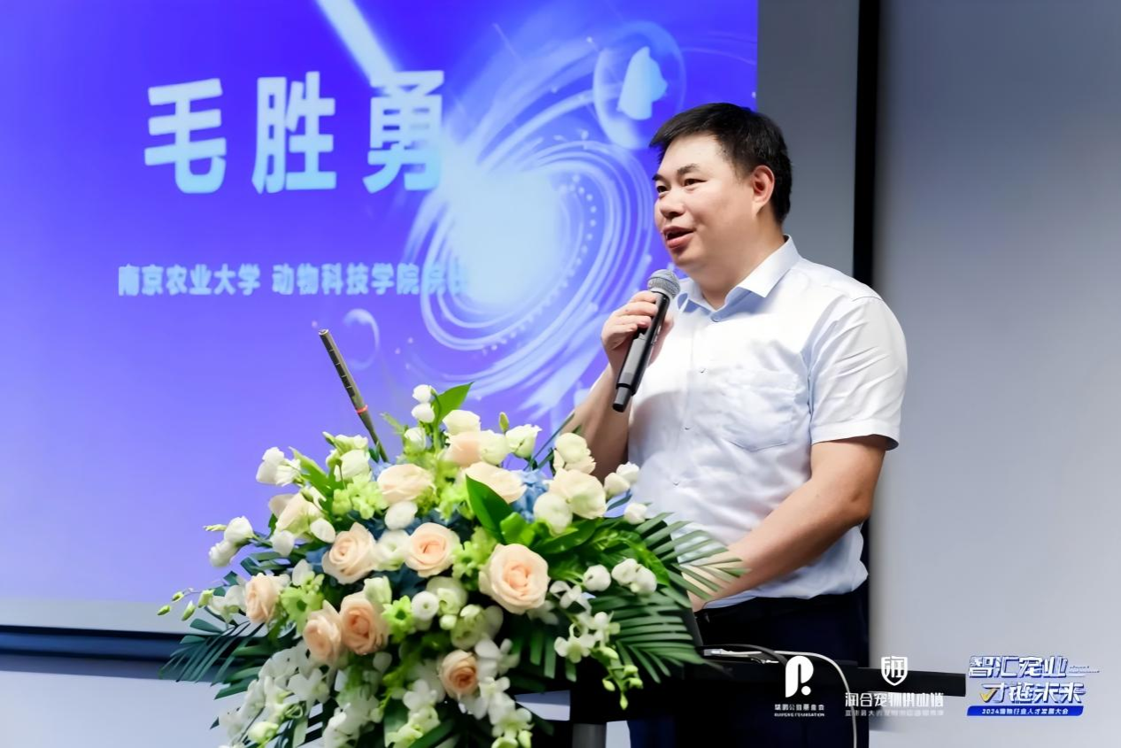 2026世界杯官网