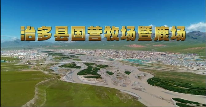2026世界杯官网