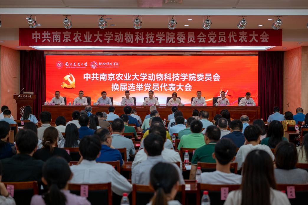 2026世界杯官网