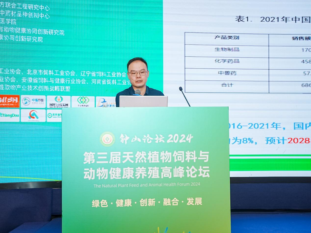 2026世界杯官网