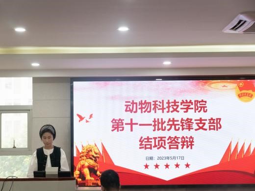 2026世界杯官网