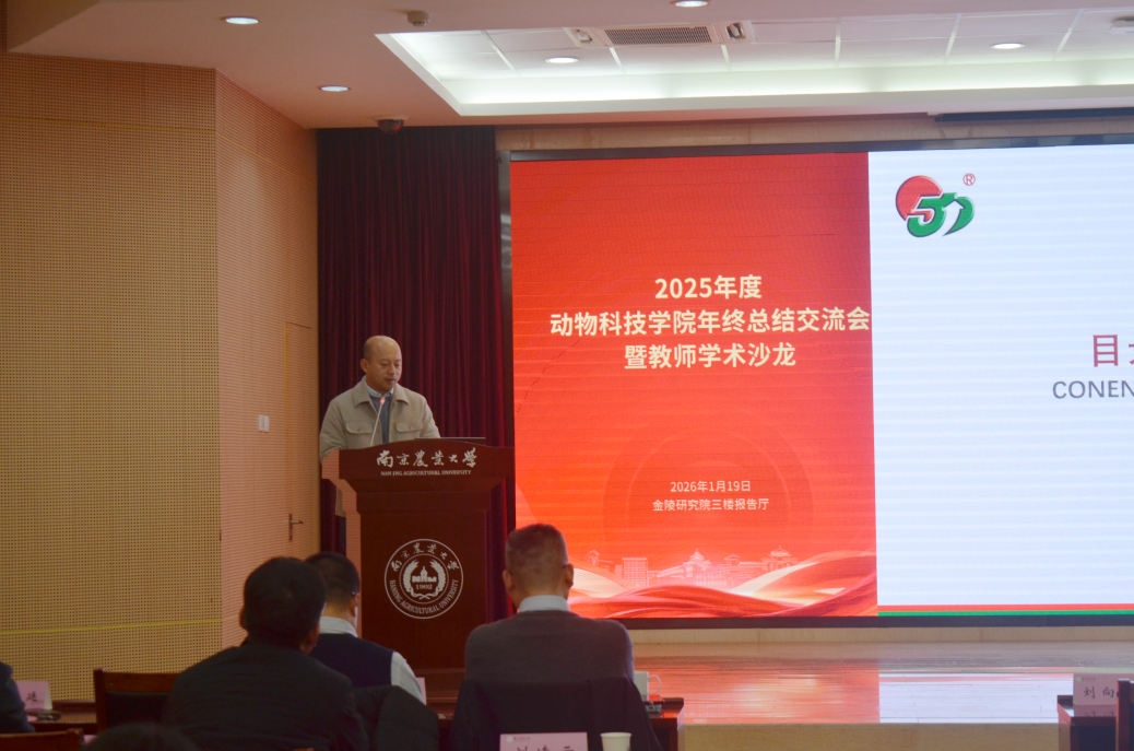 2026世界杯官网