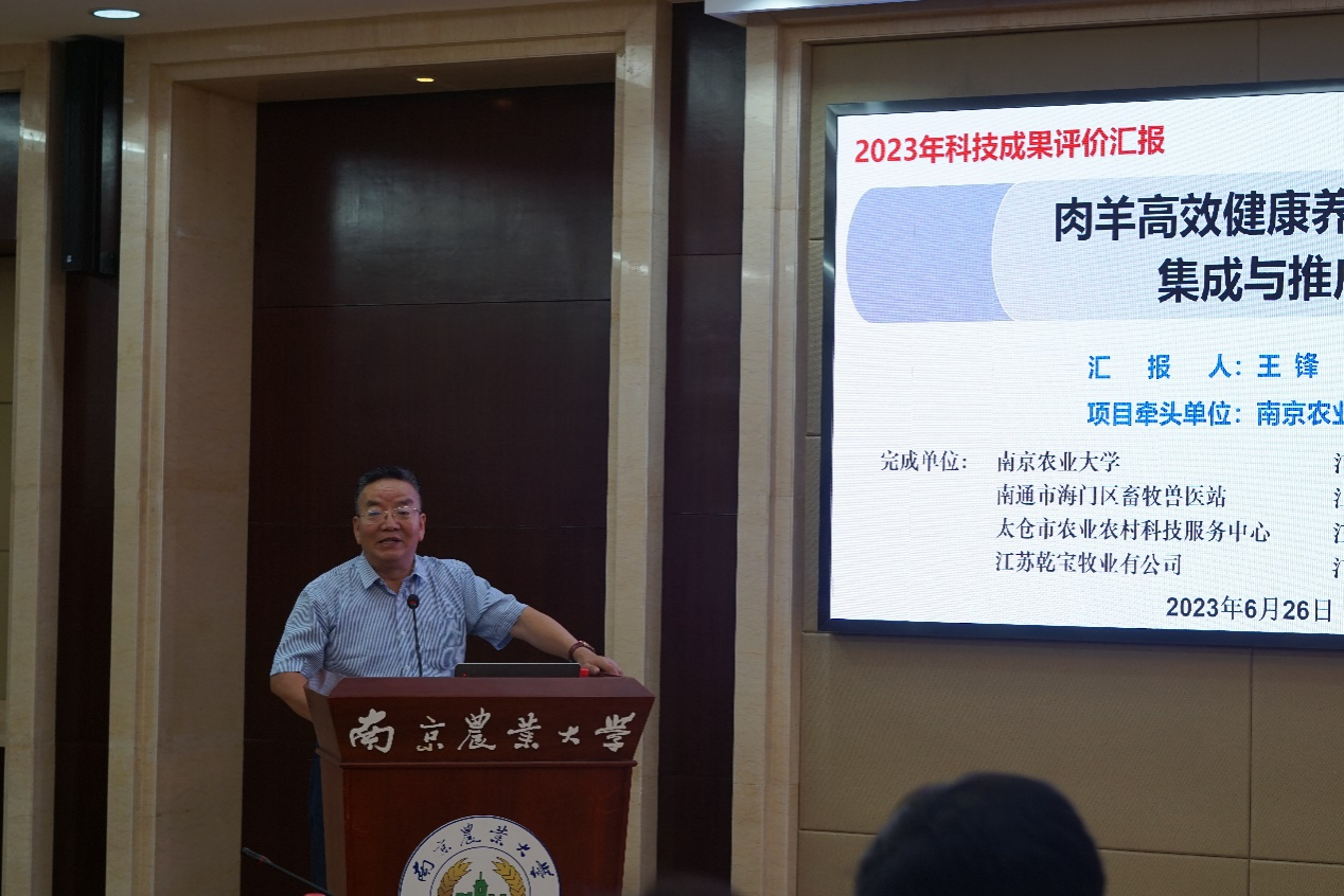 2026世界杯官网
