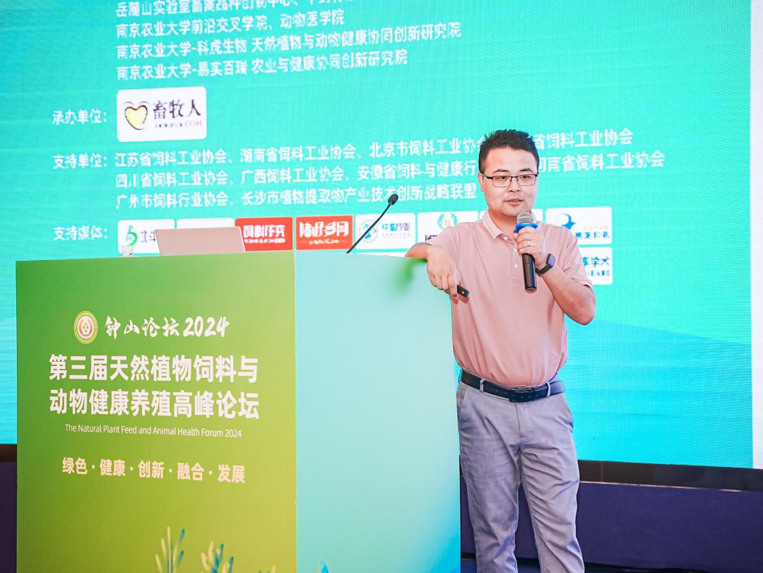 2026世界杯官网