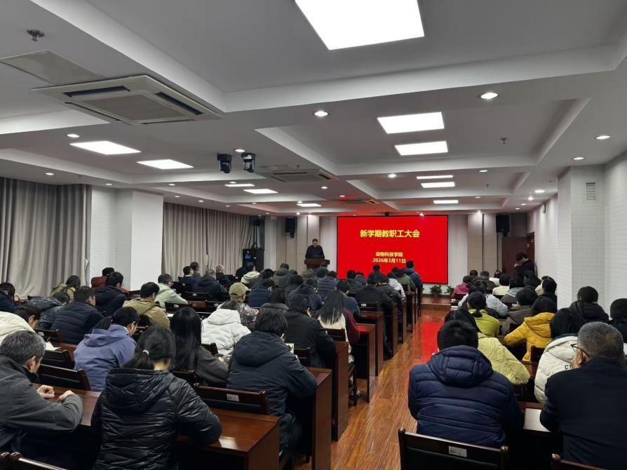 2026世界杯官网