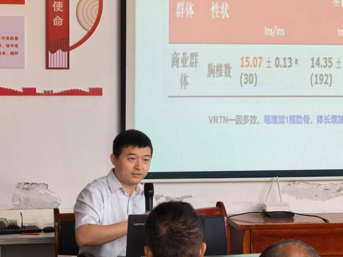 2026世界杯官网