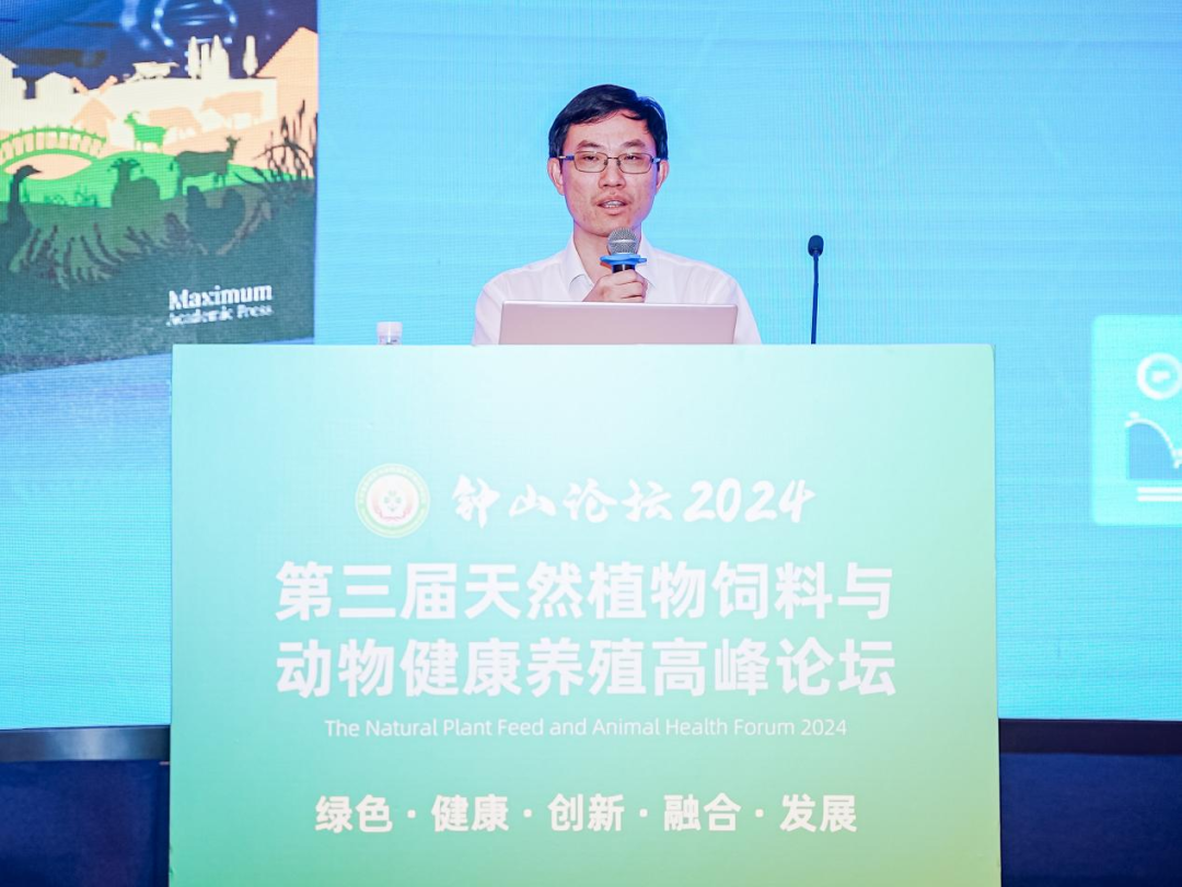 2026世界杯官网