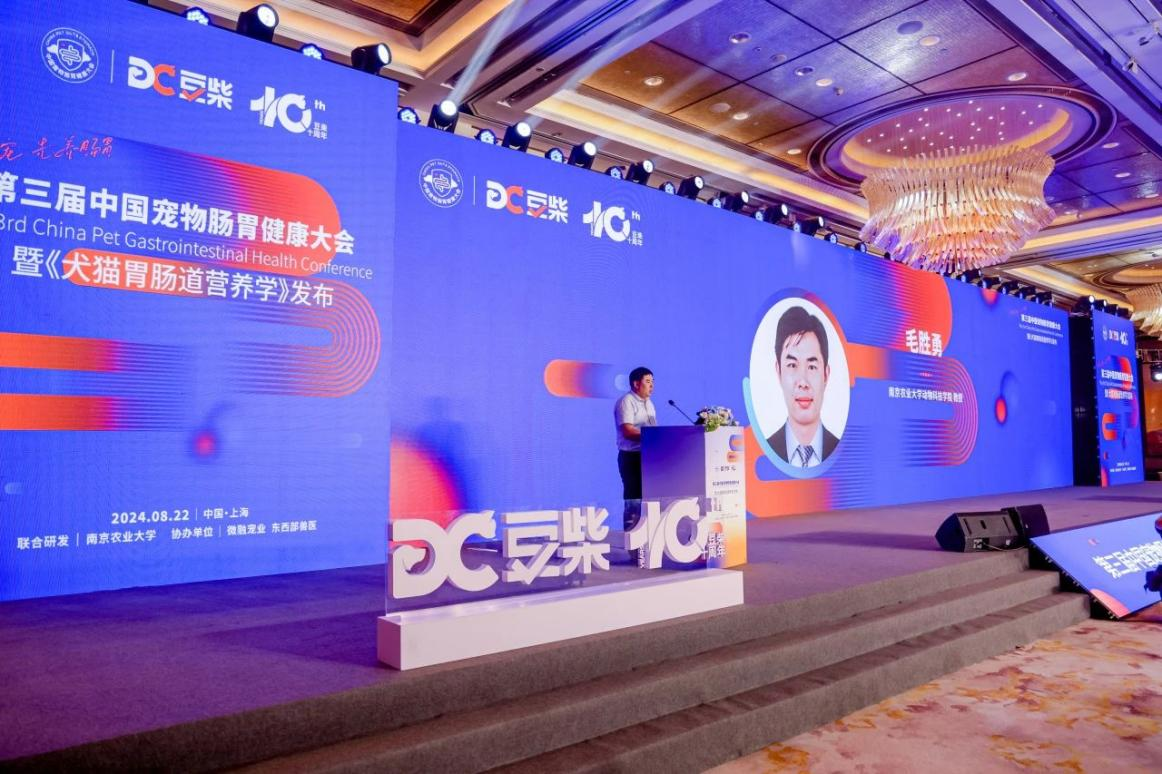 2026世界杯官网