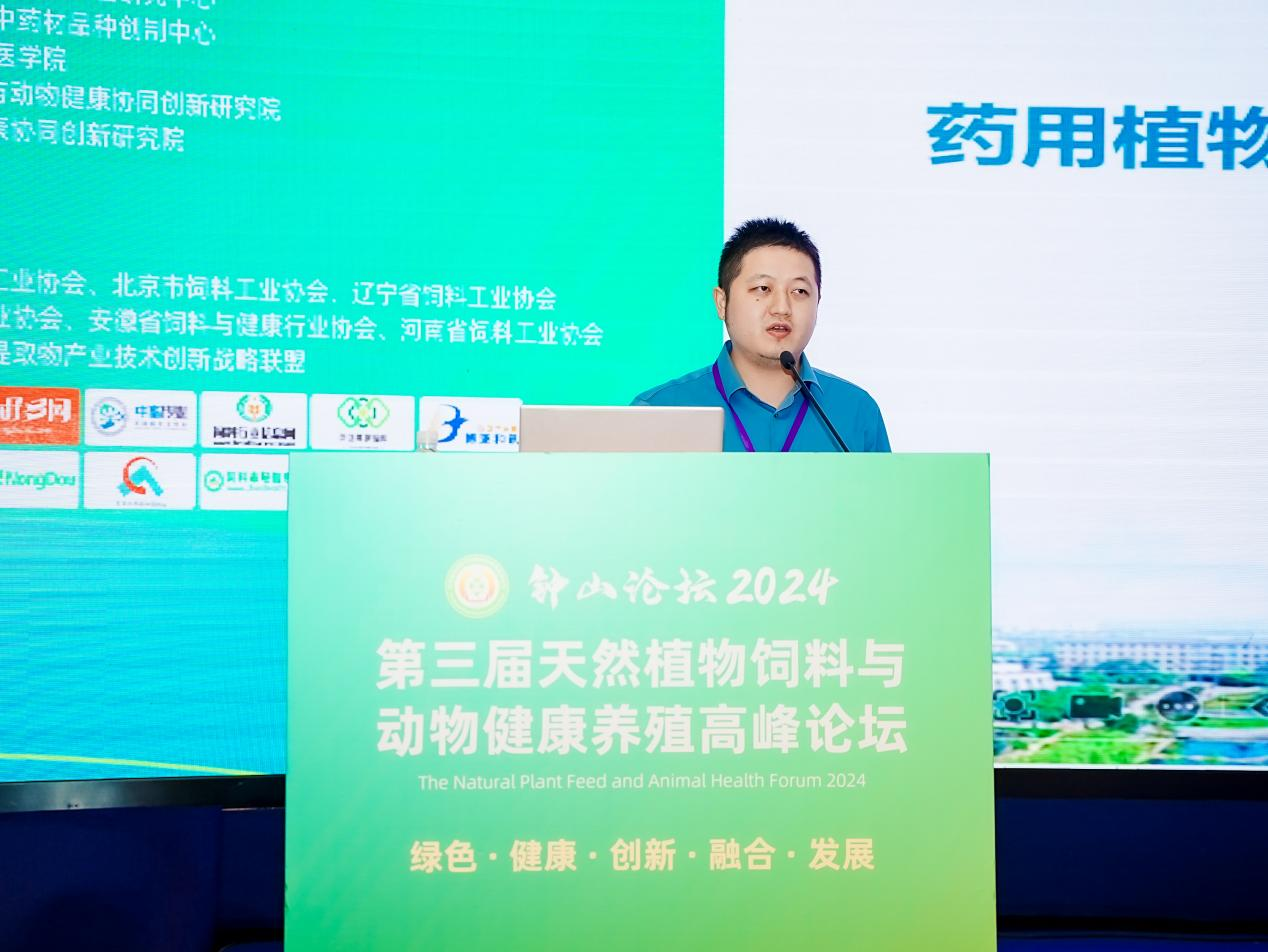 2026世界杯官网