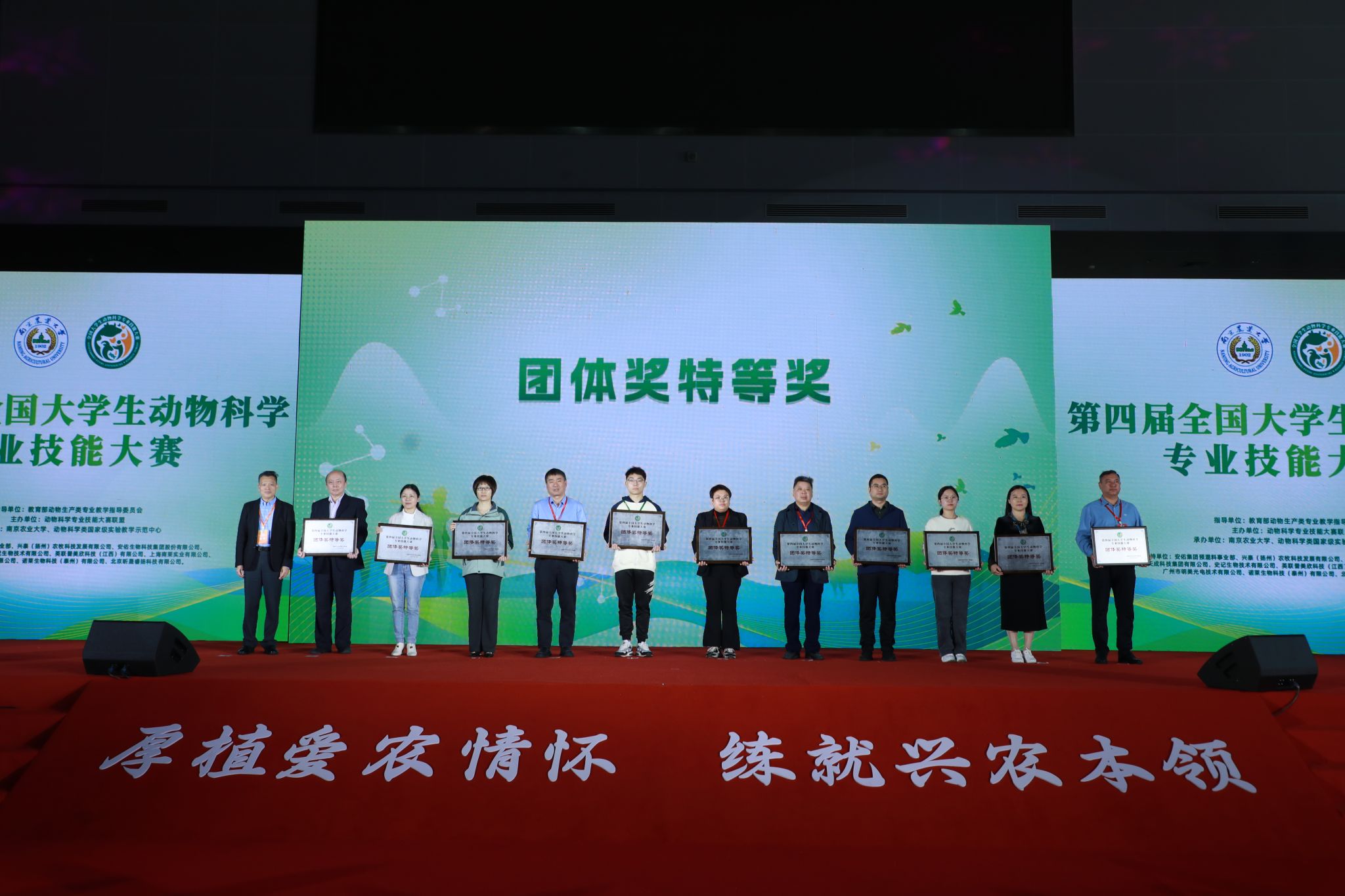 2026世界杯官网