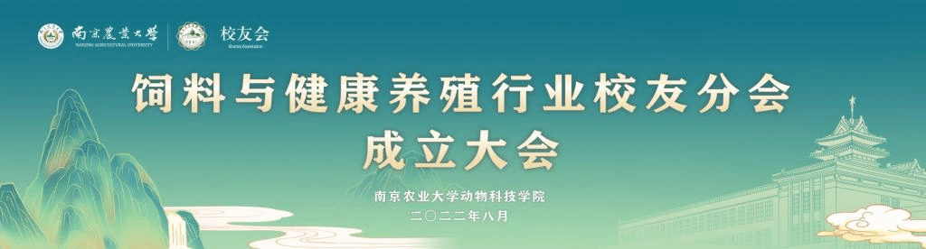 2026世界杯官网