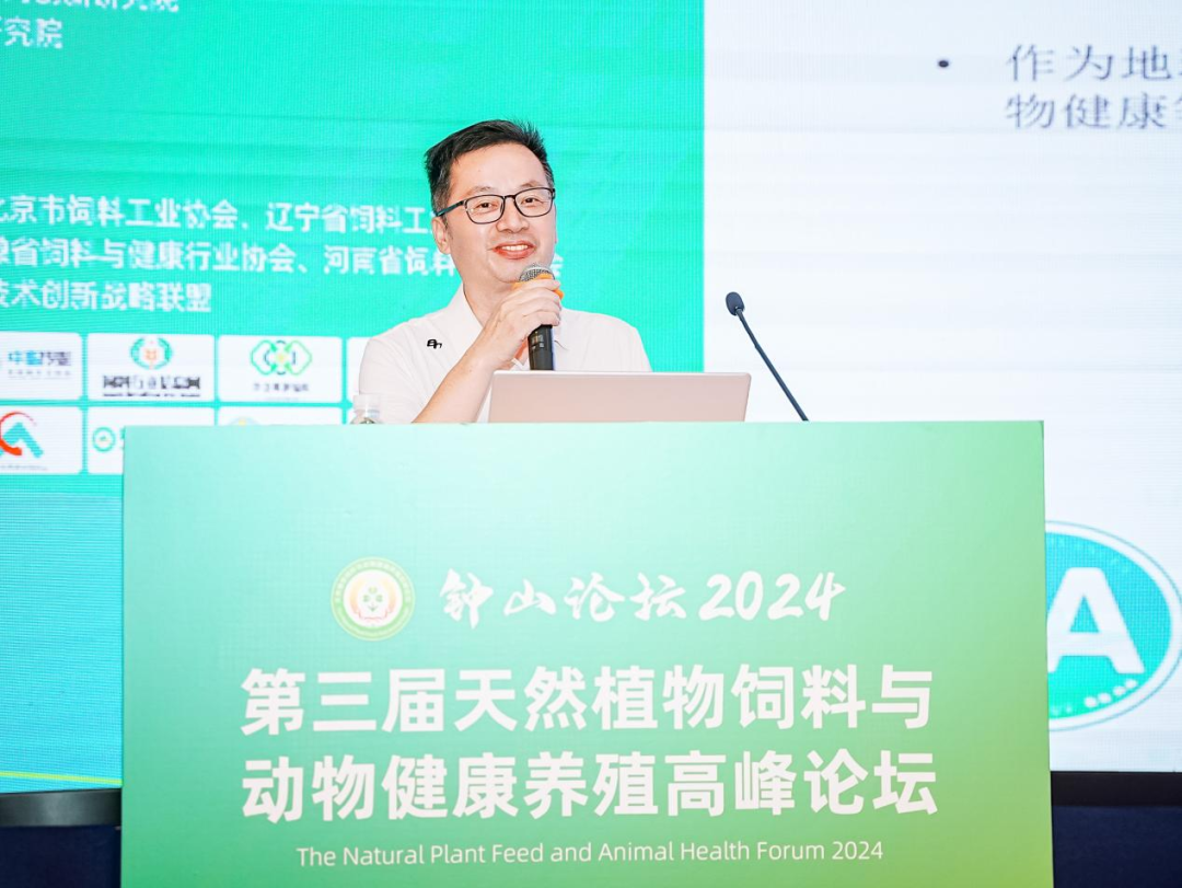2026世界杯官网