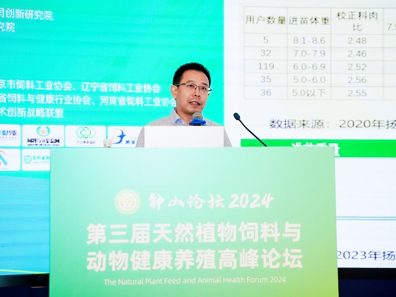 2026世界杯官网