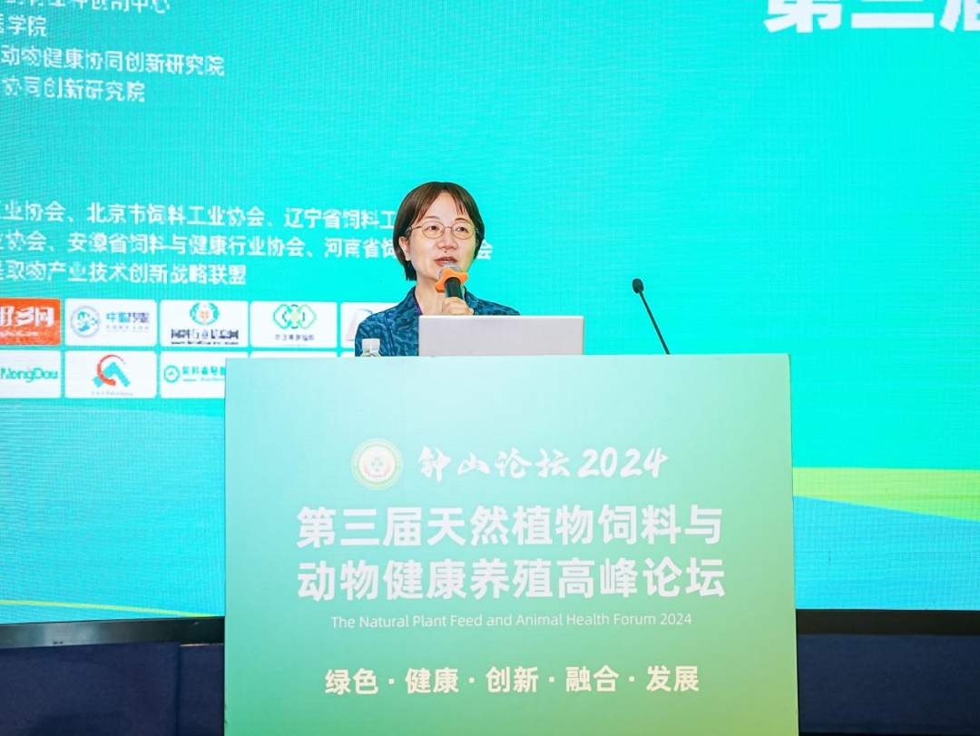 2026世界杯官网