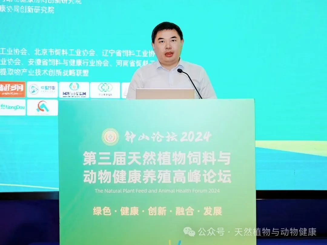 2026世界杯官网