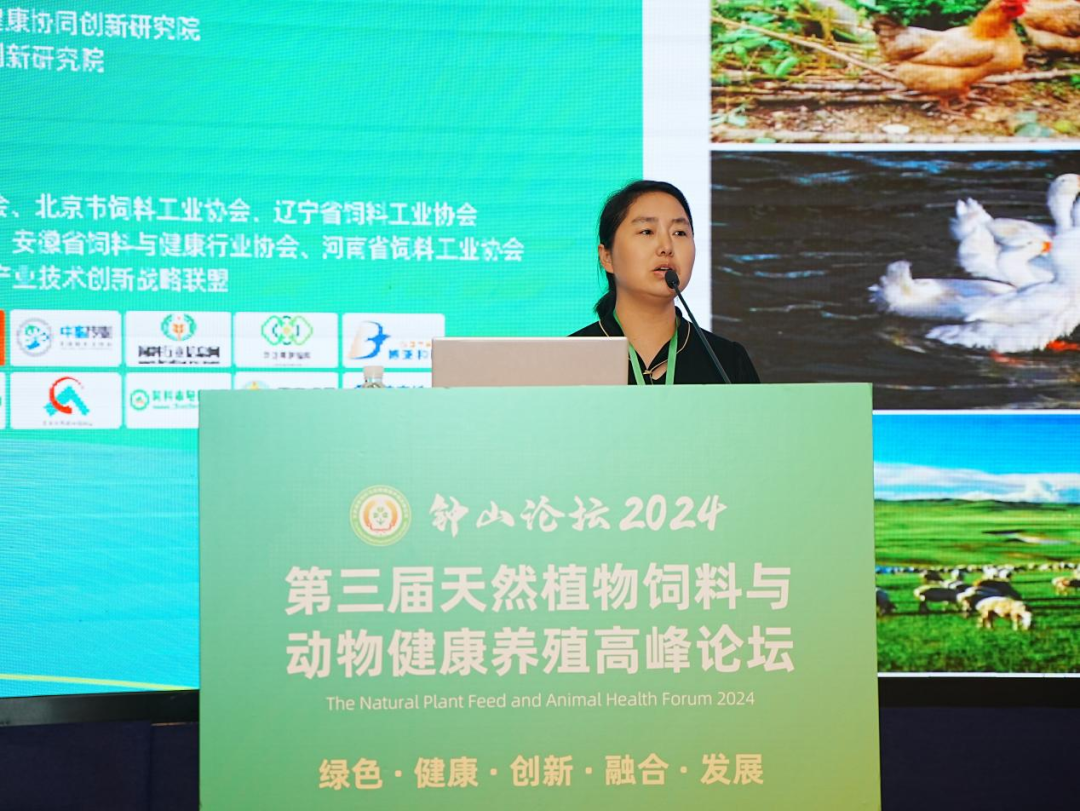 2026世界杯官网