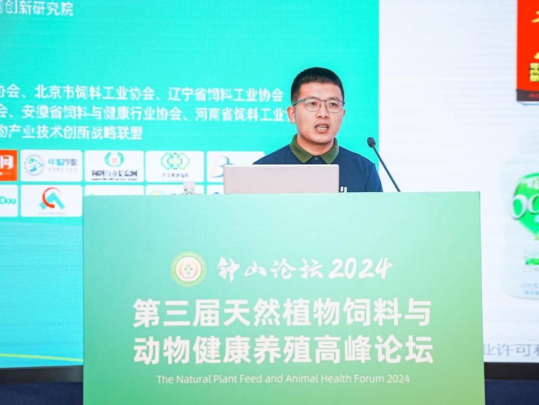 2026世界杯官网