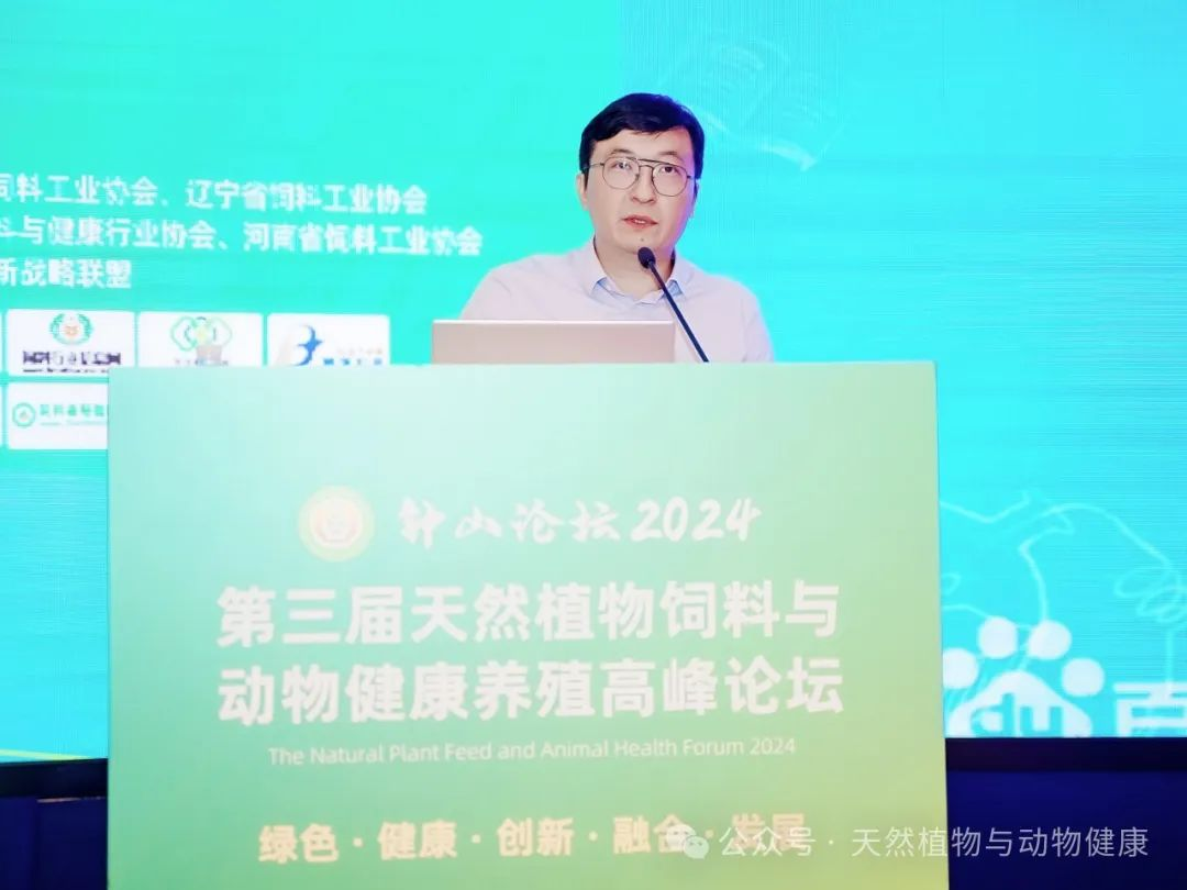 2026世界杯官网